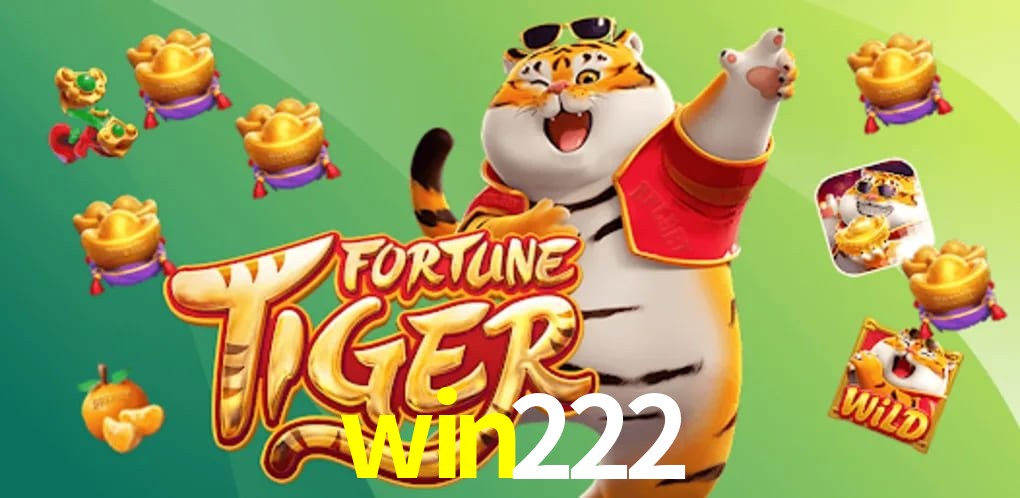 Experiência VIP win222